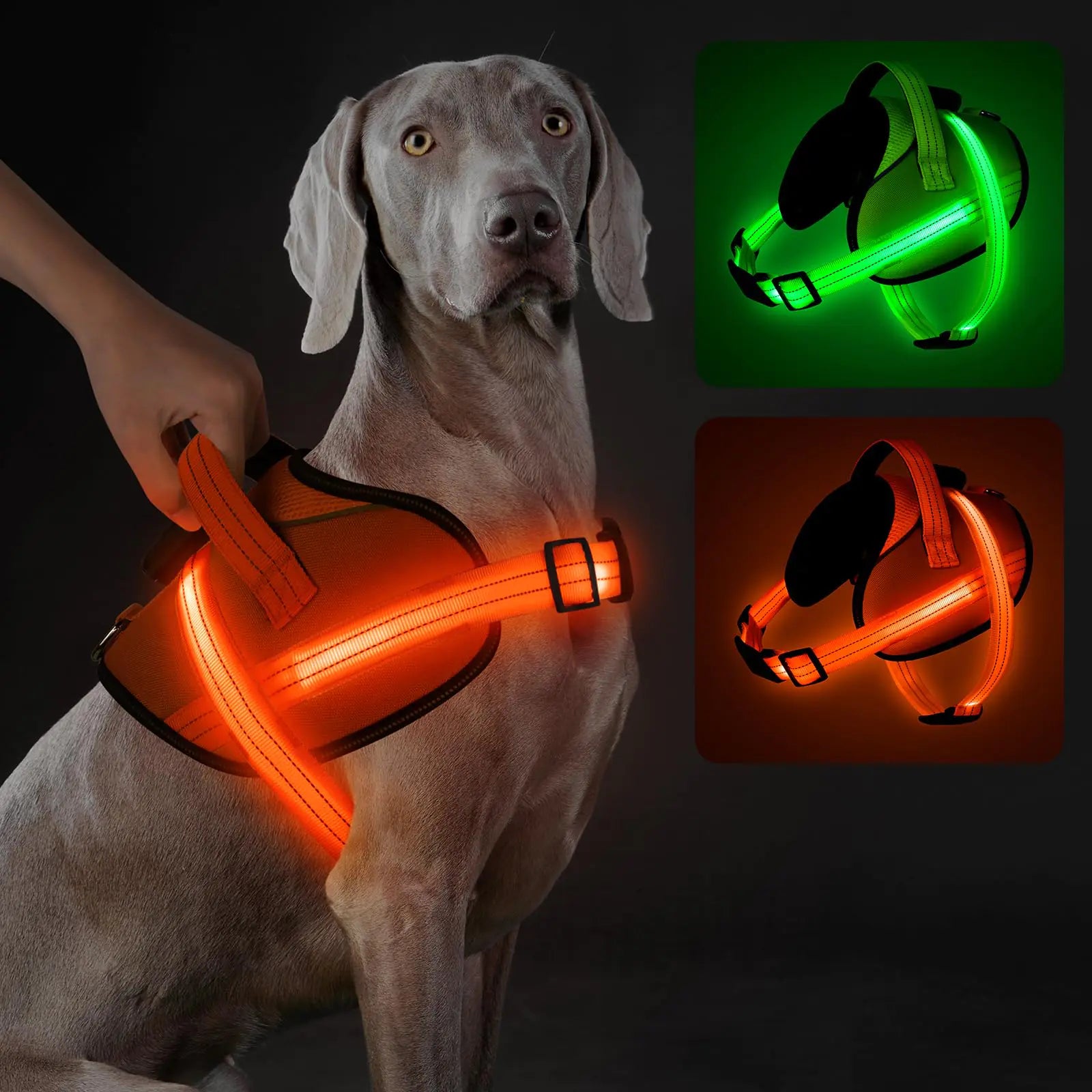 Rechargeable Light Up Dog Harness